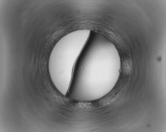 X0000096490571200801241213