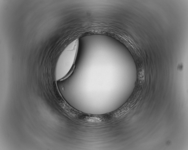 X0000096490572200801241213