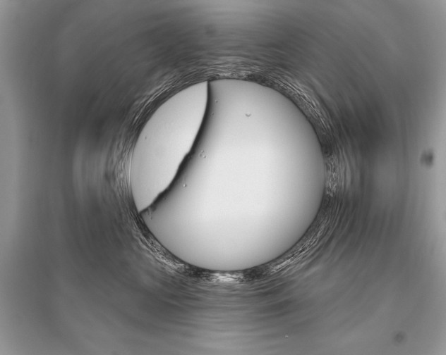 X0000096490573200801241213