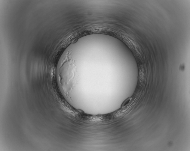 X0000096490574200801241213