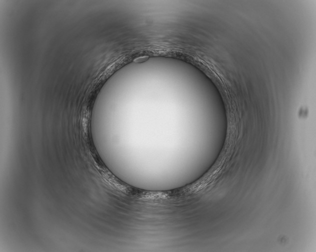X0000096490576200801241213