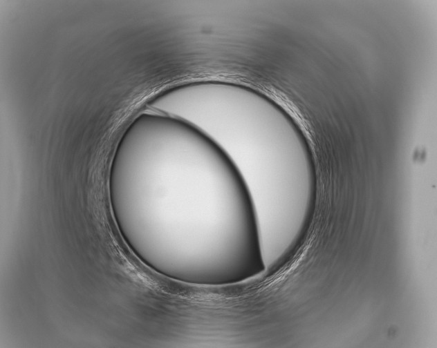 X0000096490577200801241212