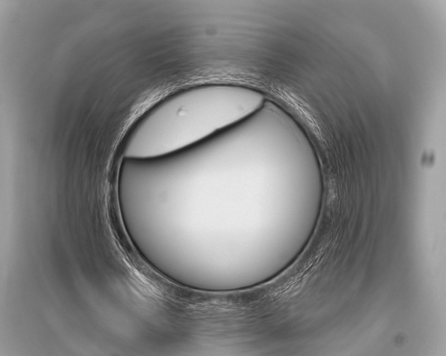 X0000096490578200801241212