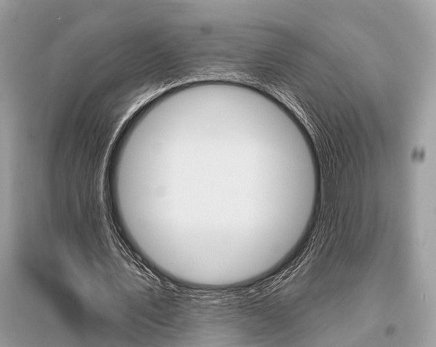 X0000096490579200801241212