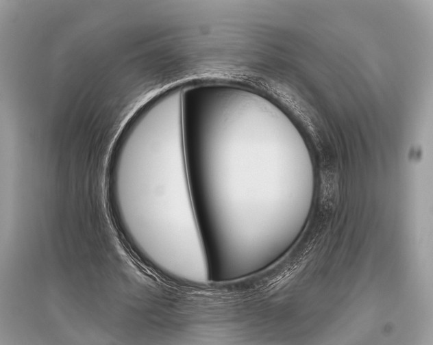 X0000096490580200801241212