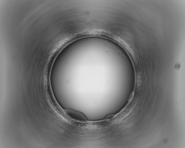 X0000096490581200801241212