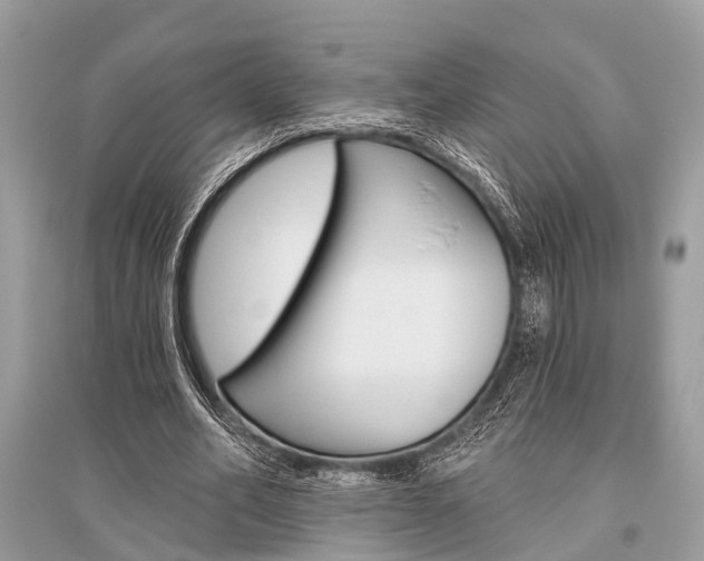 X0000096490582200801241212