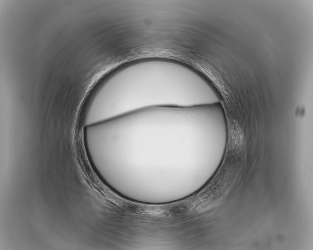 X0000096490583200801241212
