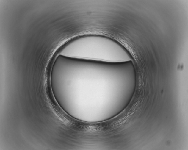 X0000096490584200801241212