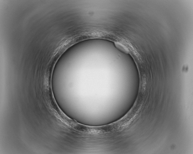 X0000096490585200801241212