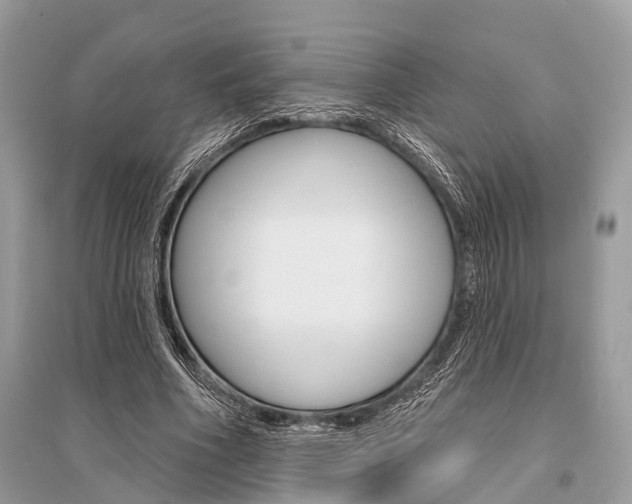 X0000096490586200801241212