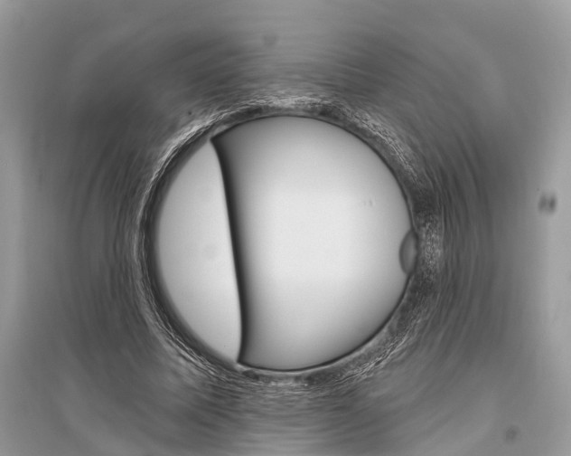 X0000096490587200801241212