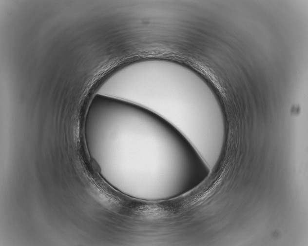 X0000096490589200801241212