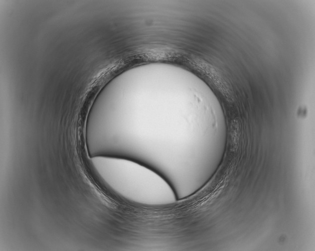 X0000096490590200801241212