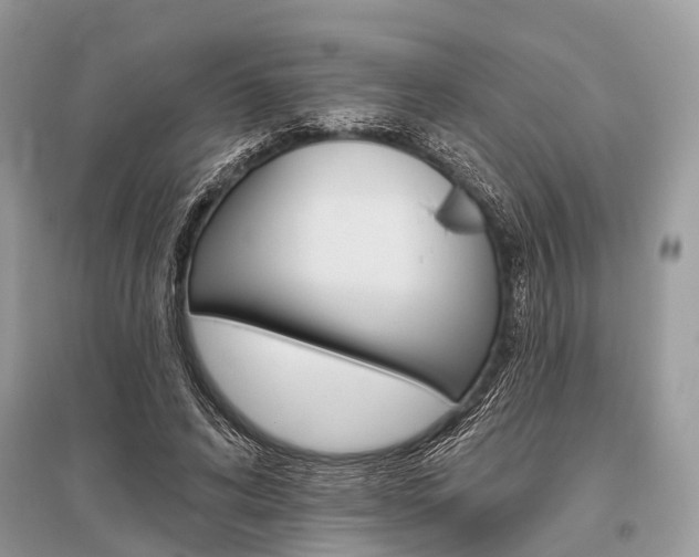 X0000096490592200801241212
