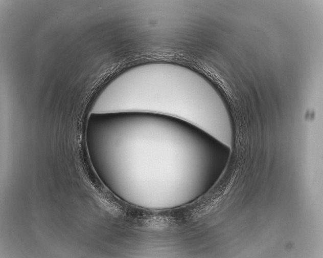 X0000096490593200801241212