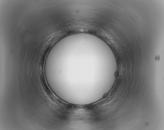 X0000096490594200801241212