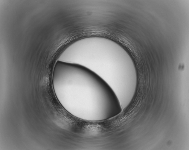 X0000096490595200801241212