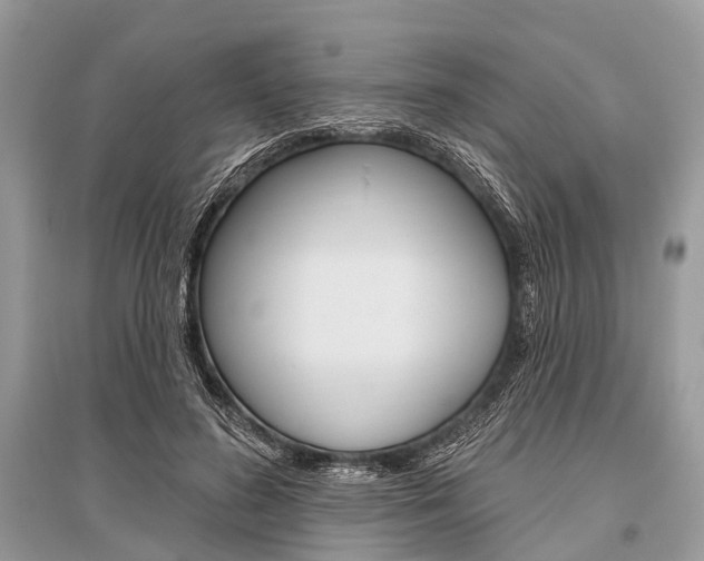 X0000096490596200801241212