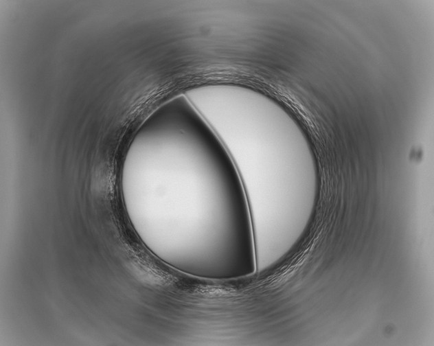 X0000096490597200801241212