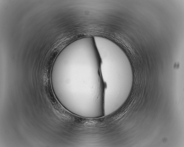 X0000096490599200801241212
