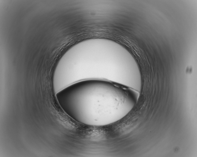X0000096490601200801241212