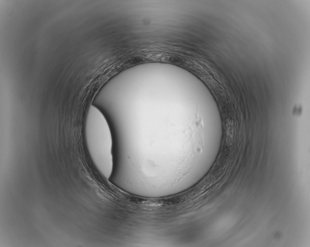 X0000096490602200801241212