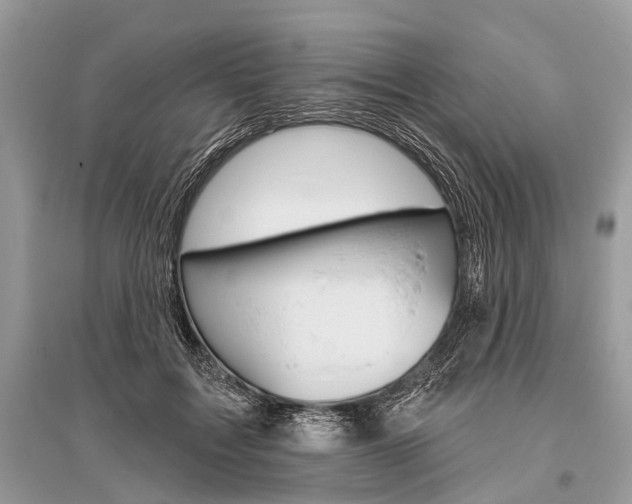 X0000096490603200801241212
