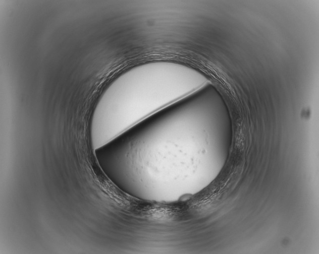 X0000096490604200801241212