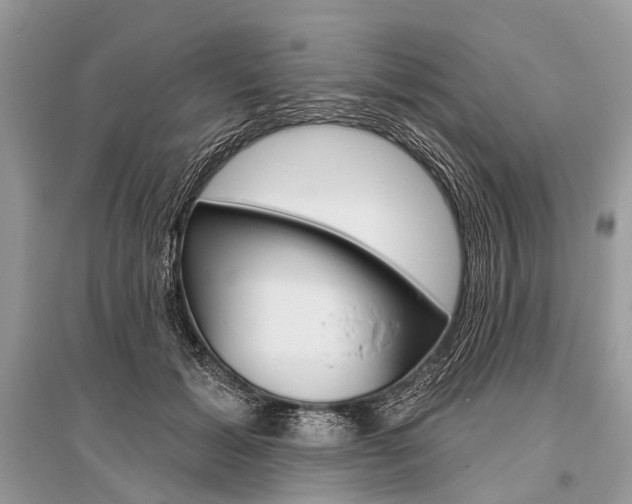 X0000096490605200801241212