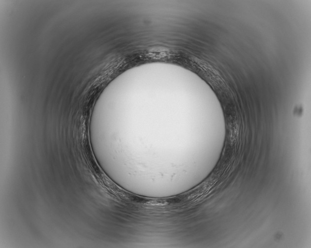 X0000096490606200801241212