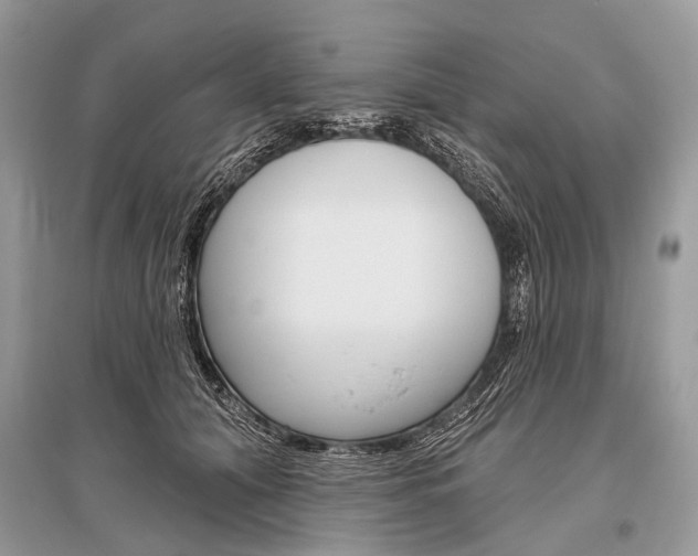 X0000096490608200801241212