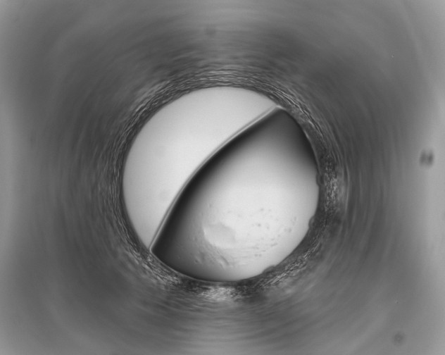 X0000096490609200801241212