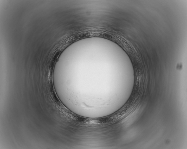 X0000096490610200801241212