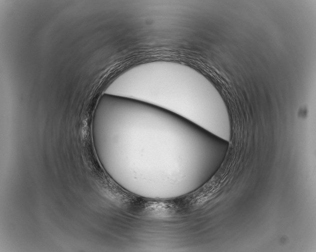 X0000096490611200801241212