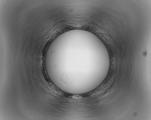X0000096490612200801241212