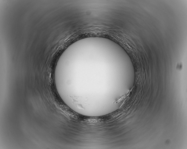 X0000096490615200801241212