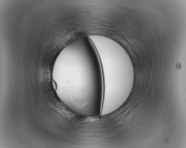 X0000096490617200801241212