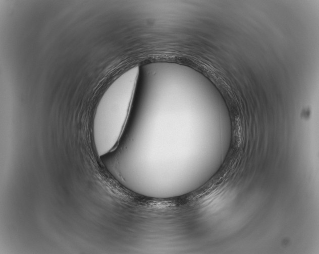 X0000096490619200801241212