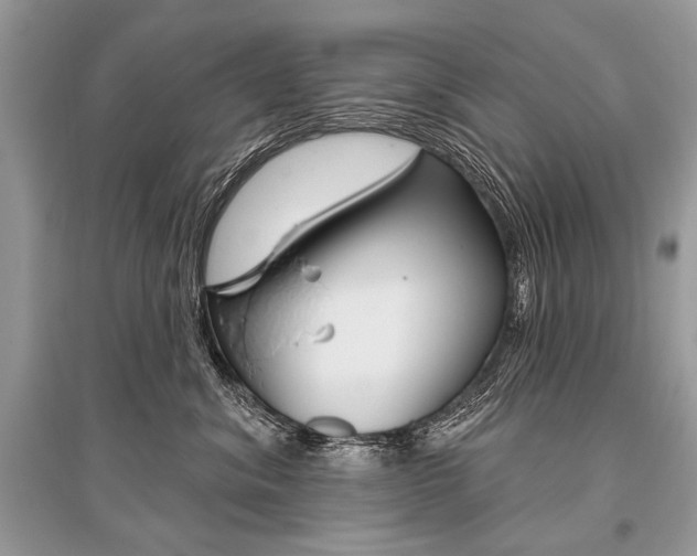 X0000096490620200801241212