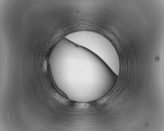 X0000096490621200801241212