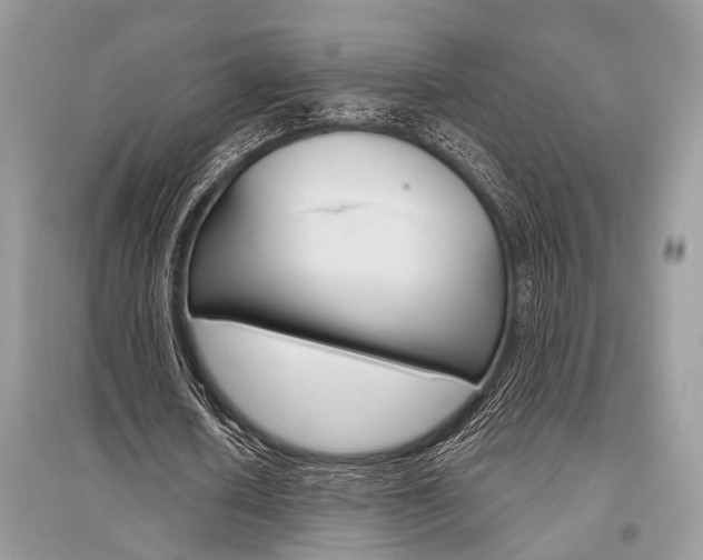 X0000096490626200801241211