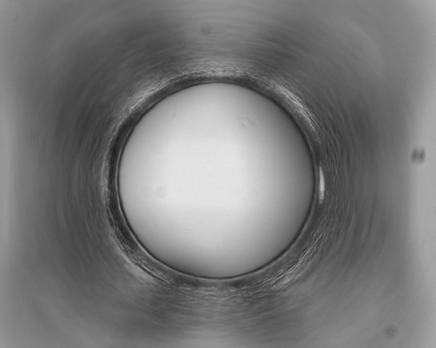 X0000096490627200801241211