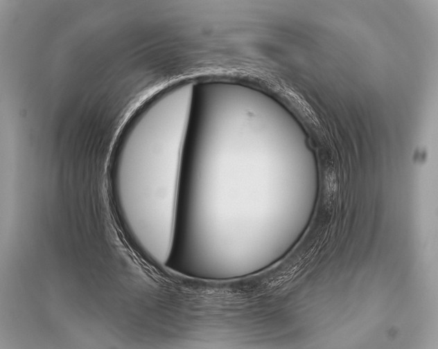 X0000096490628200801241211