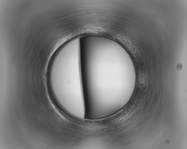 X0000096490630200801241211