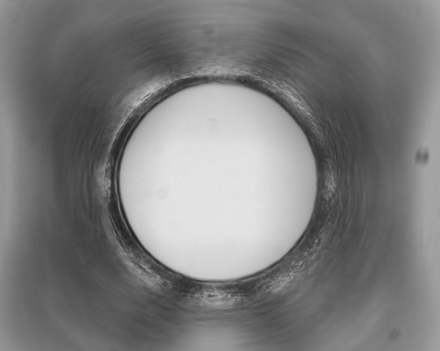 X0000096490632200801241211