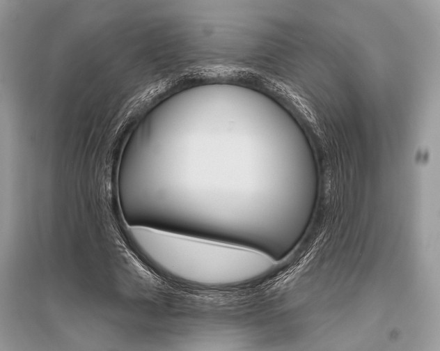 X0000096490633200801241211
