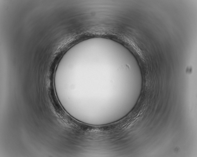 X0000096490635200801241211