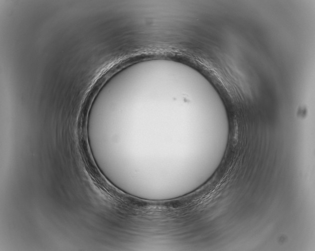 X0000096490636200801241211