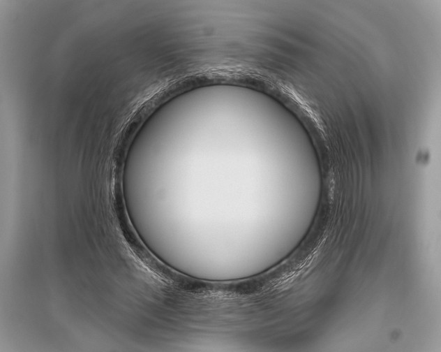 X0000096490637200801241211
